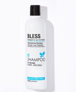 Bless SHAMPOO DRY & FRIZZY HAIR - 500 ml